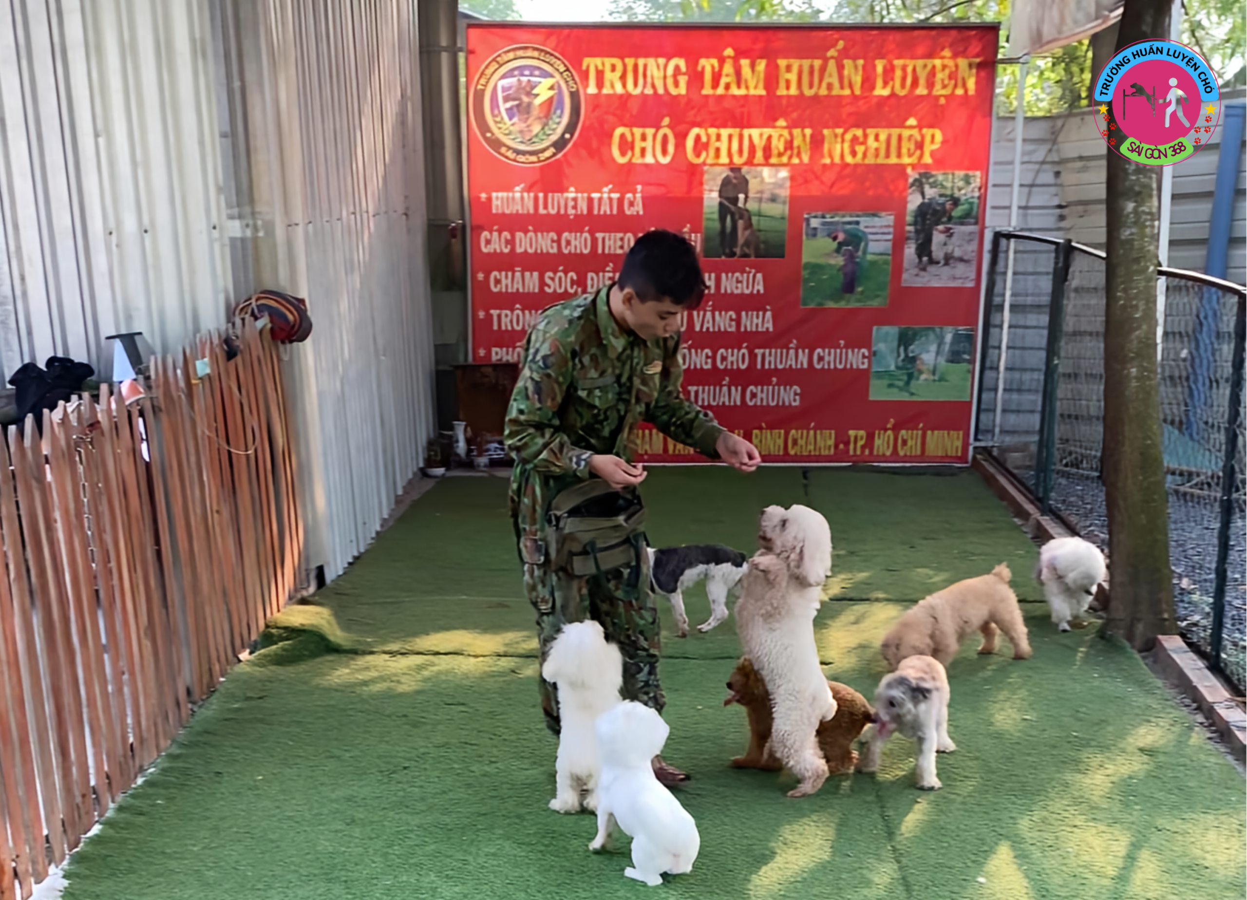 Trường Huấn Luyện Chó Sài Gòn 368