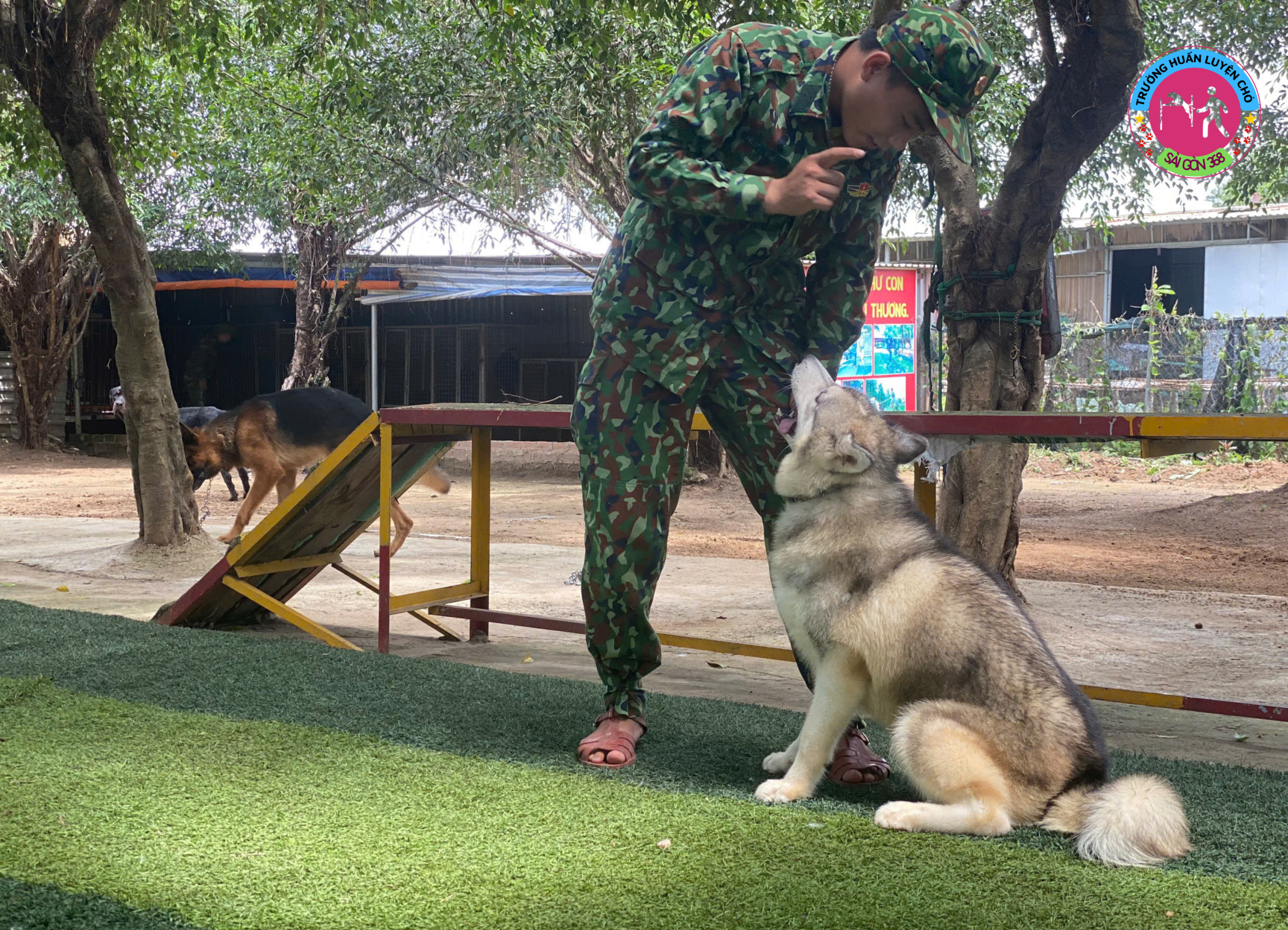 truonghuanluyencho368