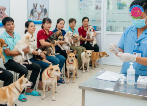 NHỮNG LOẠI THUỐC CẦN TIÊM CHO CHÓ